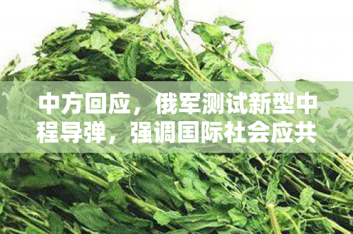 中方回应，俄军测试新型中程导弹，强调国际社会应共同维护和平稳定