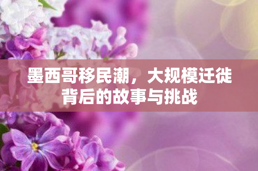 墨西哥移民潮，大规模迁徙背后的故事与挑战