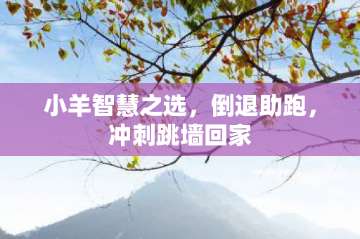 小羊智慧之选，倒退助跑，冲刺跳墙回家