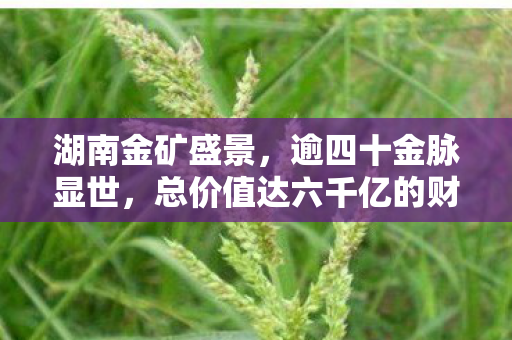湖南金矿盛景，逾四十金脉显世，总价值达六千亿的财富宝藏