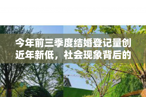 今年前三季度结婚登记量创近年新低，社会现象背后的多元因素分析