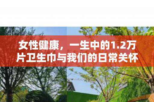 女性健康，一生中的1.2万片卫生巾与我们的日常关怀