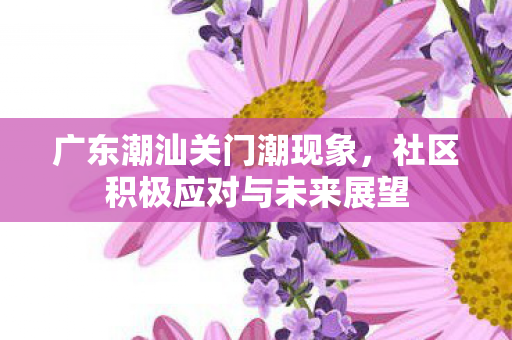 广东潮汕关门潮现象，社区积极应对与未来展望