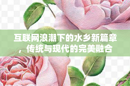 互联网浪潮下的水乡新篇章，传统与现代的完美融合