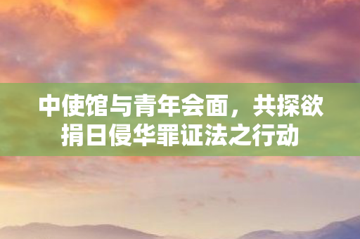 中使馆与青年会面，共探欲捐日侵华罪证法之行动