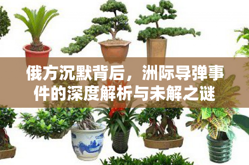 俄方沉默背后，洲际导弹事件的深度解析与未解之谜