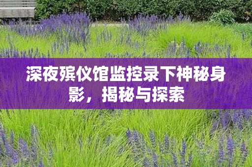 深夜殡仪馆监控录下神秘身影，揭秘与探索