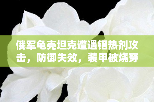 俄军龟壳坦克遭遇铝热剂攻击，防御失效，装甲被烧穿