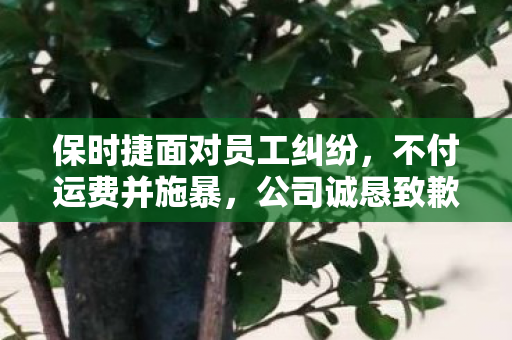 保时捷面对员工纠纷，不付运费并施暴，公司诚恳致歉并采取措施
