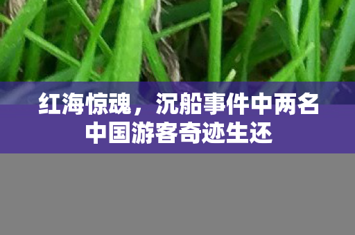 红海惊魂，沉船事件中两名中国游客奇迹生还