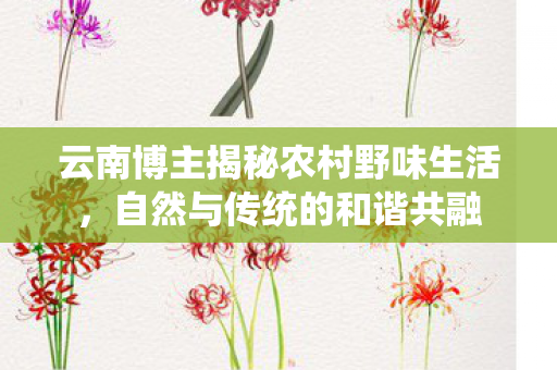 云南博主揭秘农村野味生活，自然与传统的和谐共融