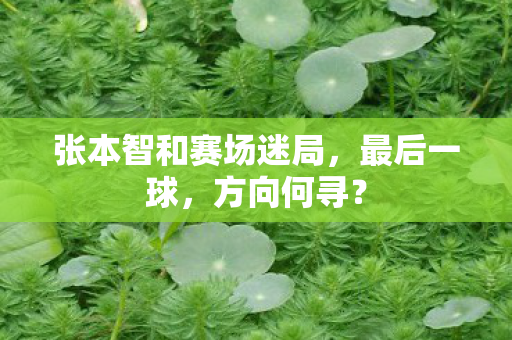 张本智和赛场迷局，最后一球，方向何寻？
