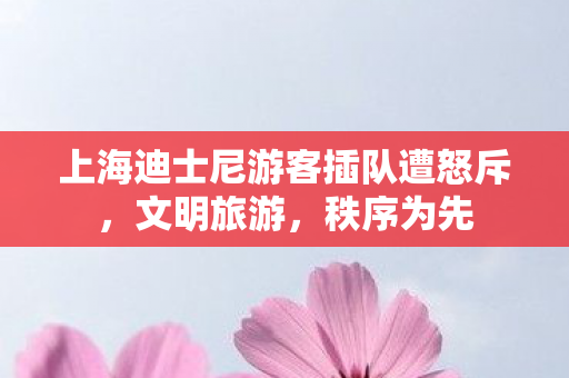 上海迪士尼游客插队遭怒斥，文明旅游，秩序为先