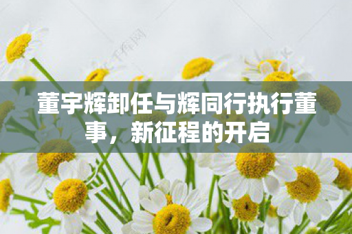 董宇辉卸任与辉同行执行董事，新征程的开启