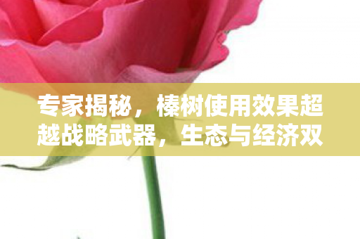专家揭秘，榛树使用效果超越战略武器，生态与经济双赢的神奇之选