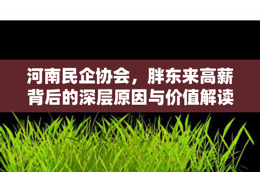 河南民企协会，胖东来高薪背后的深层原因与价值解读