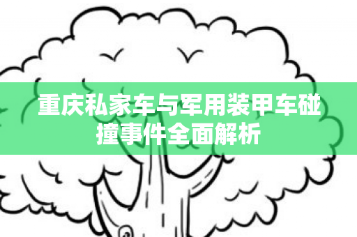 重庆私家车与军用装甲车碰撞事件全面解析