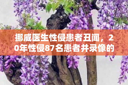 挪威医生性侵患者丑闻，20年性侵87名患者并录像的悲剧