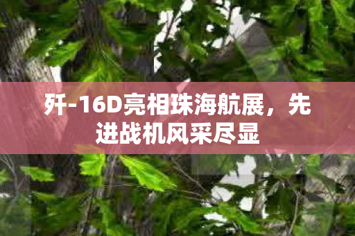 歼-16D亮相珠海航展，先进战机风采尽显