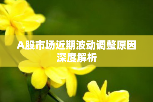 A股市场近期波动调整原因深度解析