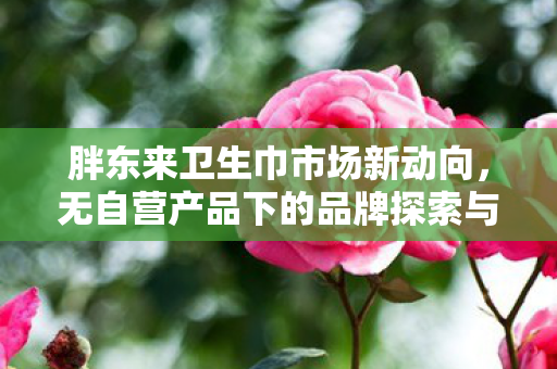 胖东来卫生巾市场新动向，无自营产品下的品牌探索与未来展望