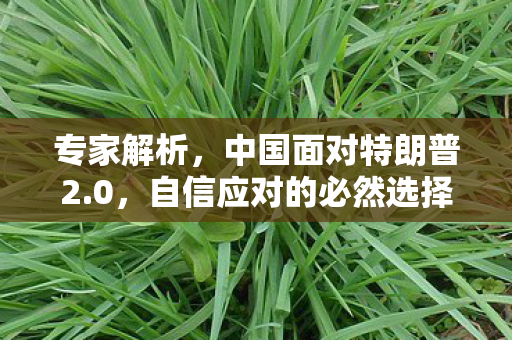 专家解析，中国面对特朗普2.0，自信应对的必然选择