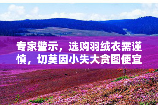 专家警示，选购羽绒衣需谨慎，切莫因小失大贪图便宜