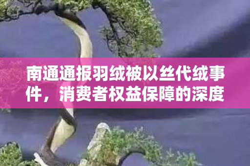 南通通报羽绒被以丝代绒事件，消费者权益保障的深度解读