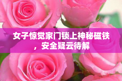 女子惊觉家门锁上神秘磁铁，安全疑云待解