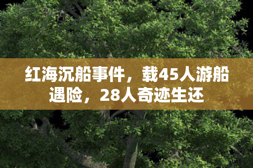 红海沉船事件，载45人游船遇险，28人奇迹生还