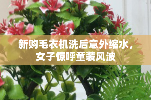 新购毛衣机洗后意外缩水，女子惊呼童装风波
