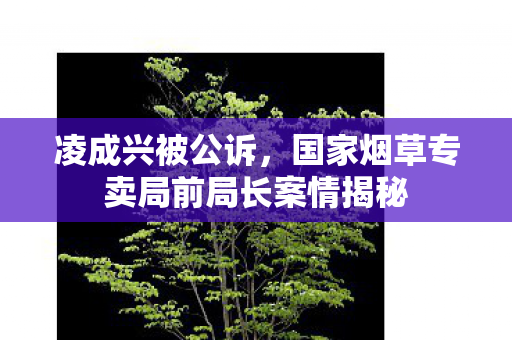 凌成兴被公诉，国家烟草专卖局前局长案情揭秘