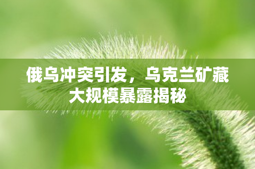俄乌冲突引发，乌克兰矿藏大规模暴露揭秘