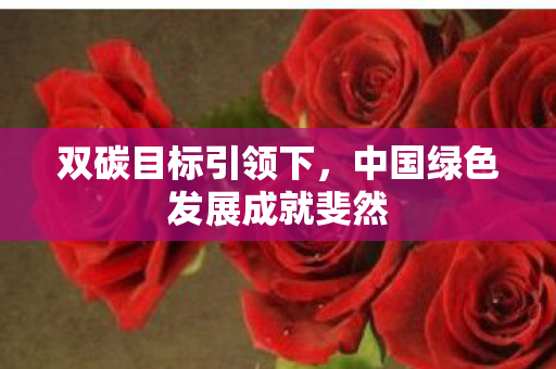 双碳目标引领下，中国绿色发展成就斐然
