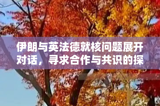 伊朗与英法德就核问题展开对话，寻求合作与共识的探索