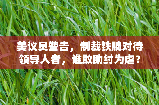 美议员警告，制裁铁腕对待领导人者，谁敢助纣为虐？