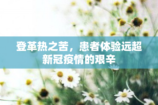 登革热之苦，患者体验远超新冠疫情的艰辛