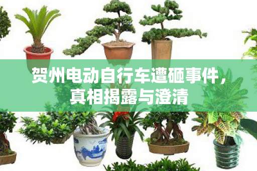贺州电动自行车遭砸事件，真相揭露与澄清