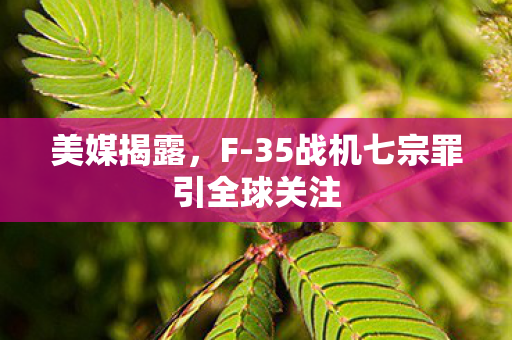 美媒揭露，F-35战机七宗罪引全球关注