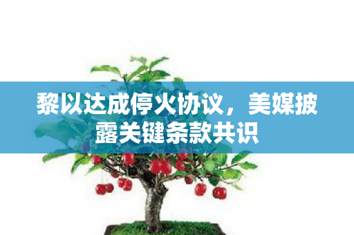 黎以达成停火协议，美媒披露关键条款共识