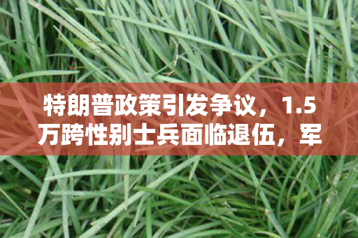特朗普政策引发争议，1.5万跨性别士兵面临退伍，军方性别平等何去何从？