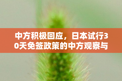 中方积极回应，日本试行30天免签政策的中方观察与应对策略