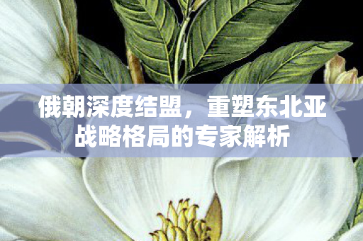 俄朝深度结盟，重塑东北亚战略格局的专家解析