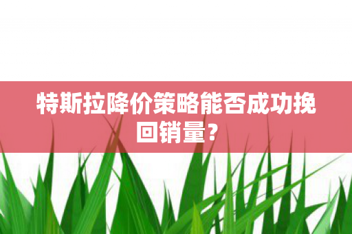 特斯拉降价策略能否成功挽回销量？