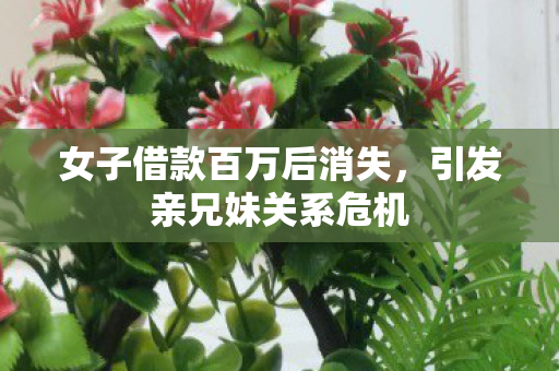 女子借款百万后消失，引发亲兄妹关系危机