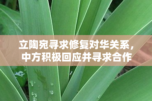 立陶宛寻求修复对华关系，中方积极回应并寻求合作