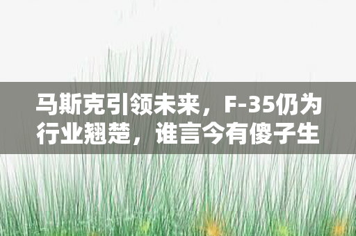 马斯克引领未来，F-35仍为行业翘楚，谁言今有傻子生产？