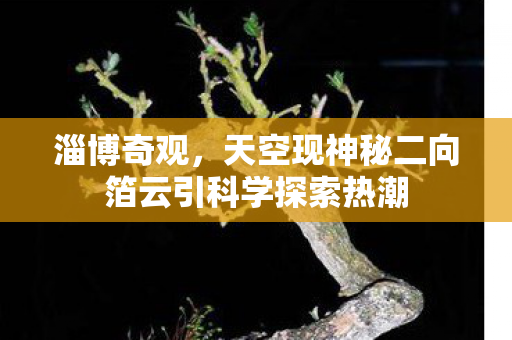 淄博奇观，天空现神秘二向箔云引科学探索热潮