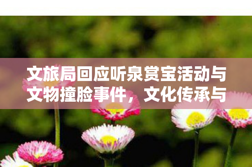 文旅局回应听泉赏宝活动与文物撞脸事件，文化传承与现代互动的巧妙融合
