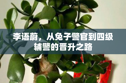 李语蔚，从兔子警官到四级辅警的晋升之路